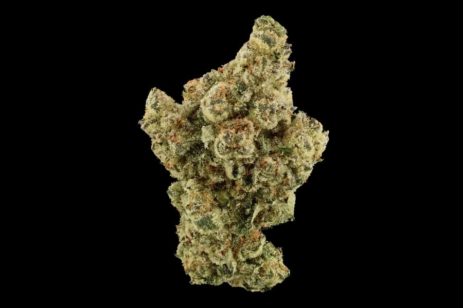 Diesel Haze