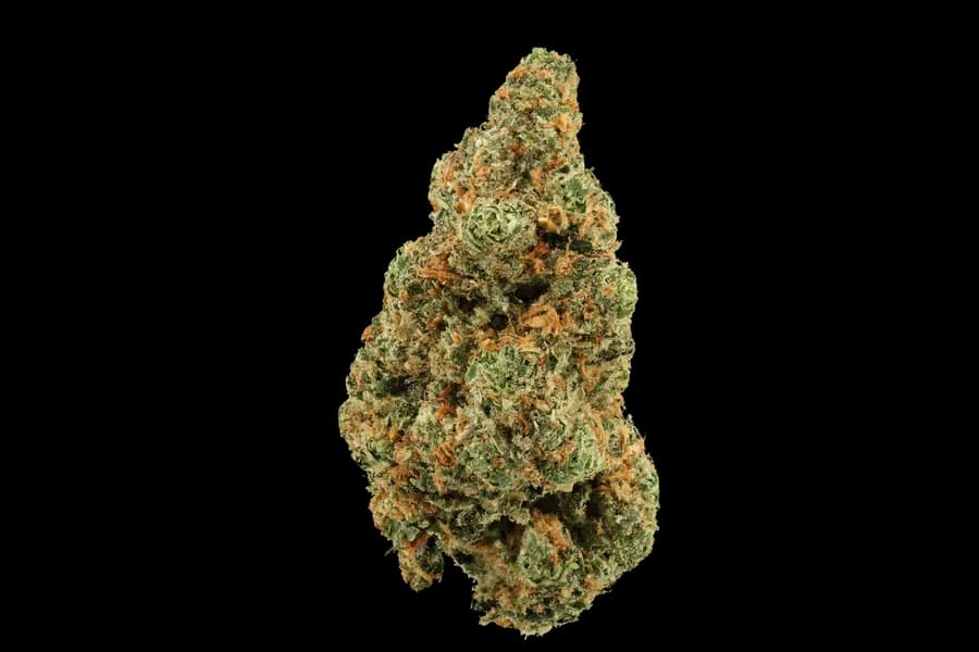 Miracle Berry